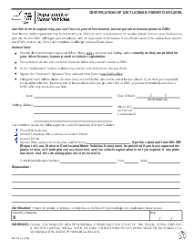 Fillable NY DMV MV 1441.3 (2015) - Thumbnail