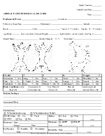 Pet Medical Records Template - Thumbnail