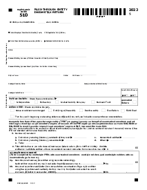 Form 510 Pass-Through Entity Tax Return - Thumbnail