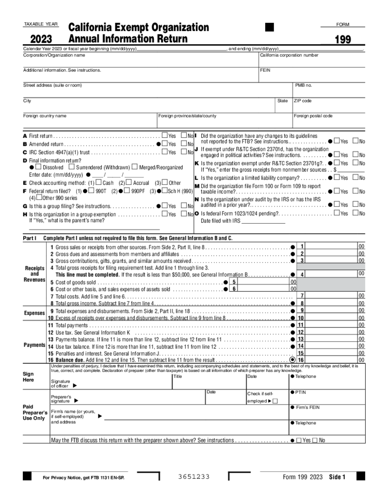 CA Form 199