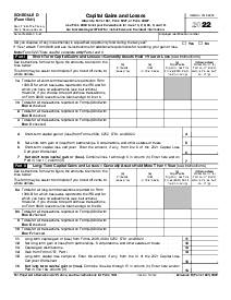 Schedule D Form 1041 - Thumbnail