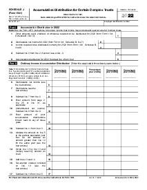 Form 1041 (Schedule J) - Thumbnail