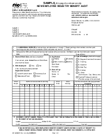 DE 1296NER - New Employee Registry Benefit Audit - Thumbnail