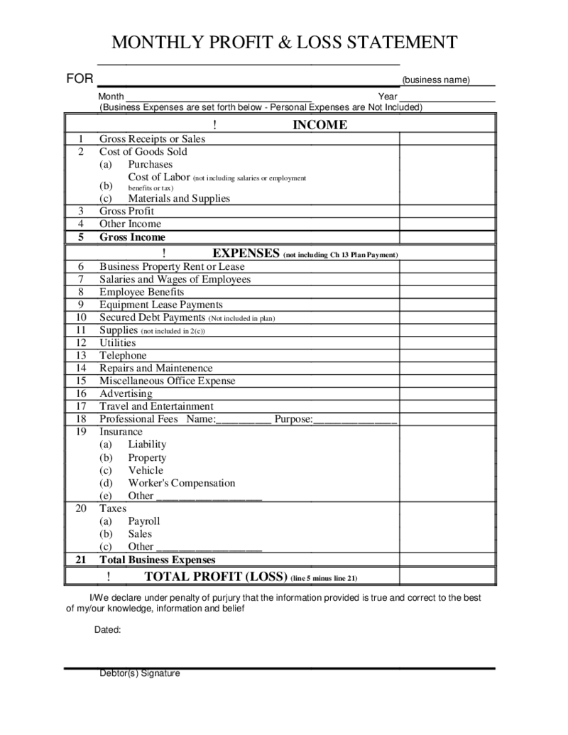 Monthly Profit and Loss Statement