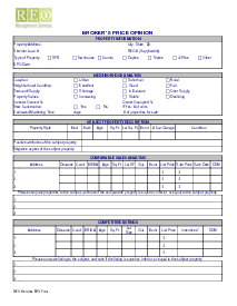 Broker Opinion of Value Template - Thumbnail