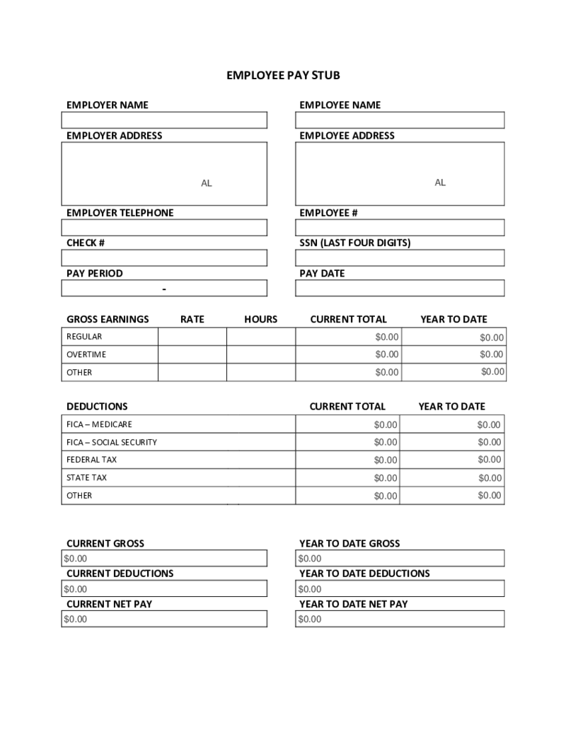 Pay Stub Template