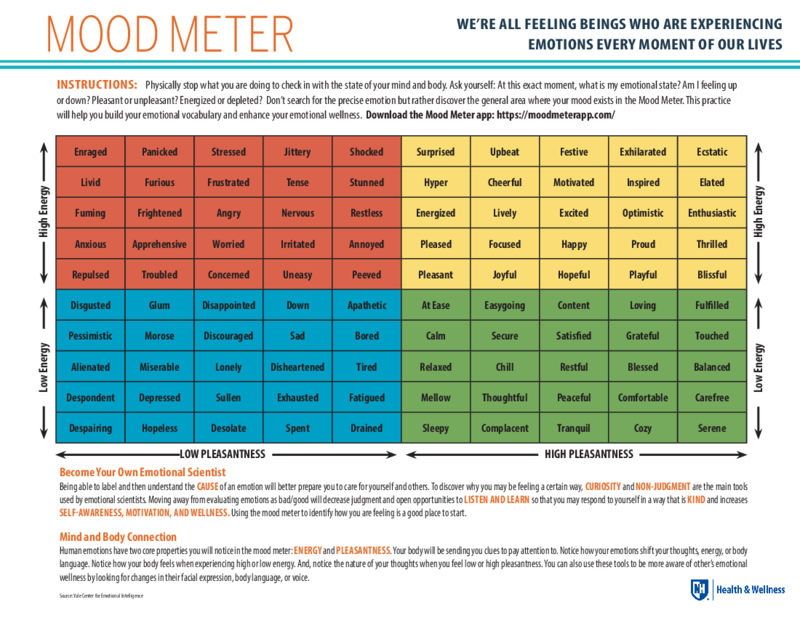 Mood Meter