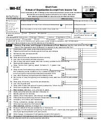 Form 990-EZ - Thumbnail