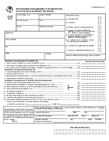 Fillable Tennessee Form FAE 170 (2021) - Thumbnail